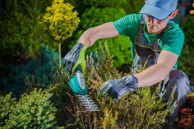 landscaping services Dobbs Ferry
